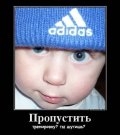 laiki