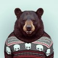 товарищМатрос