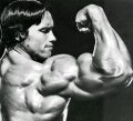 Pumping Iron