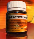 DNP24
